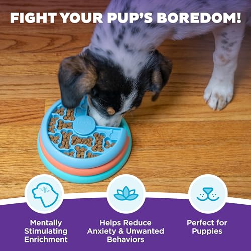 image for Outward Hound by Nina Ottosson Puppy Lickin' Layers Interactive Dog Pu