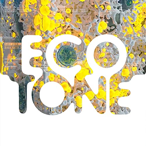 Architectural Dreaming and Digital Memory with Refik Anadol