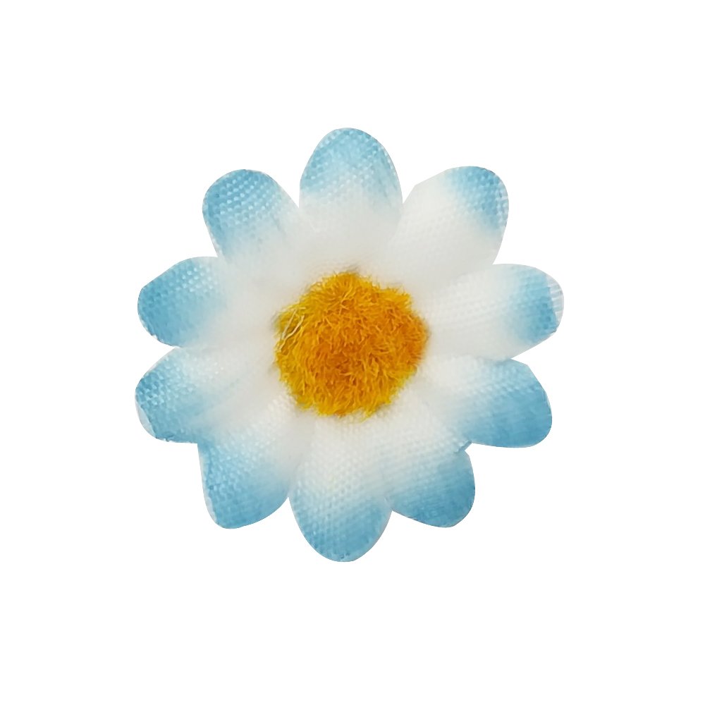 Madeliefje is eetbare bloem met aaibaarheid - Nature's Pride