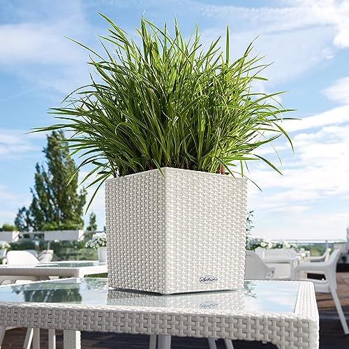 Lechuza Cube Cottage 30 Bianco 15376 - 6