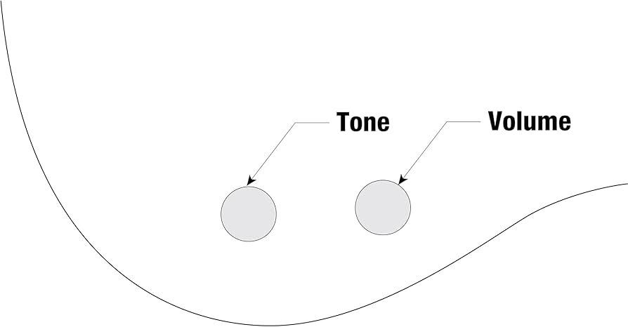 Amazon | Ibanez(アイバニーズ) GIOシリーズ 5弦エレキベース Black