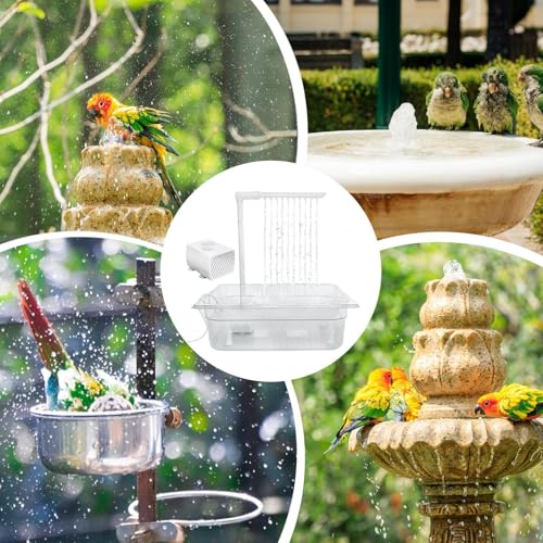 Bain électrique pour oiseaux à circulation d'eau continue pour gris