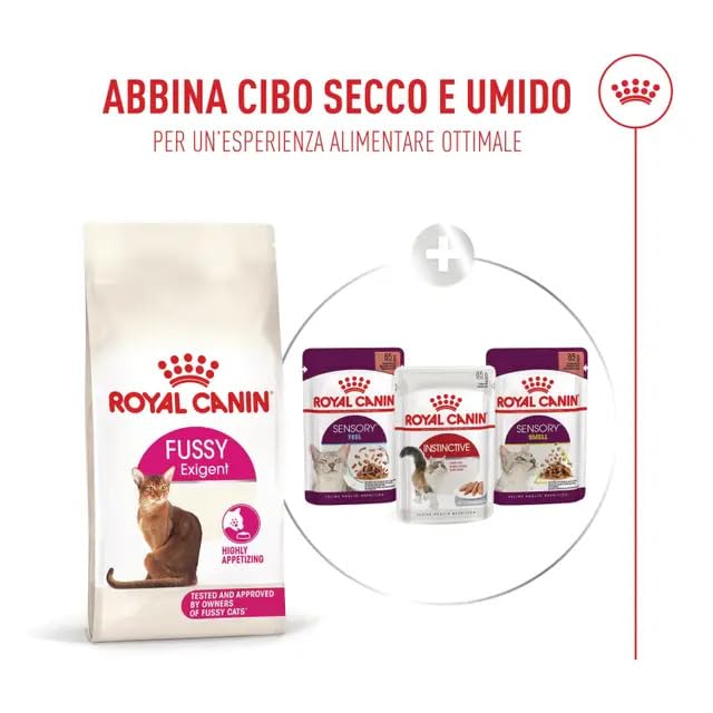 Amazon | ロイヤルカナン FHN セイバーエクシジェント 猫用 2kg