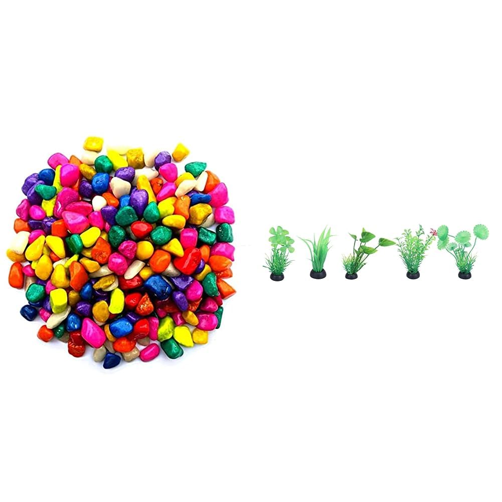 See full amazon price history chart for Foodie Puppies Multi-Color Decorative (Small Stone, 3Kg) & 6 in 1Aquarium Artificial Plastic Simulation Decorative Aquatic Accessories Plants9 Cm Height Foodie Puppies Multi-Color Decorative (Small Stone, 3Kg) & 6 in 1Aquarium Artificial Plastic Simulation Decorative Aquatic Accessories Plants9 Cm Height (B0CDDGBJYX) Amazon Price History, Amazon Price Tracker