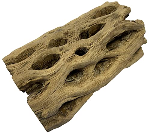 Awesome Aquatic XL Teddy Bear Cholla Wood
