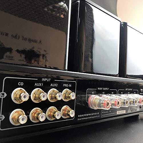 Willsenton R8 KT88/EL34 x4 Tube Integrated AMP Power Amplifier Headphone (Black)