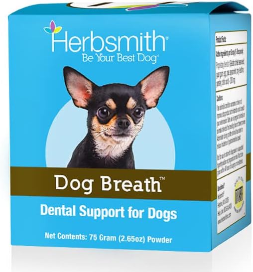 What Is The Best Dog Breath Freshener