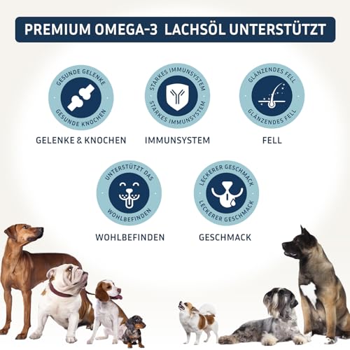 PetFokus Premium Omega-3 Lachsöl für Hunde - 100% reines Öl, köstlicher Geschmack, für alle Rassen und Alter - in Deutschland produziert