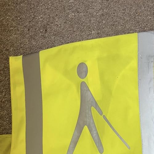 Thaliruth - blind durch den Alltag Titelbild