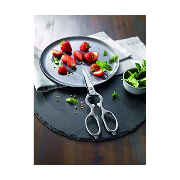Zwilling 43923 200 classic cooking scissors satin stainless steel kitchen scissors made in germany  urban country home decor