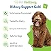 Pet Wellbeing Kidney Support Gold for Dogs - Supports Healthy Kidney Function, Fluid Balance, Energy Levels, Rehmannia, Dong Quai - Veterinarian-Formulated Herbal Supplement 2 oz (59 ml)