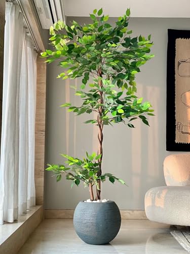 Image of Twisted Artificial Fig Trees | 6 Feet Ficus Tree Without Pot Realistic Plant - Trees - | Indoor Tropical | Home - Cafe - Shop - Office | Gifting - Decor - Ambience