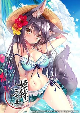 姫繰三六五 ひめくりさんろくご 画集 二 二一年版下巻 書籍 生活 実用 Pcソフト Amazon