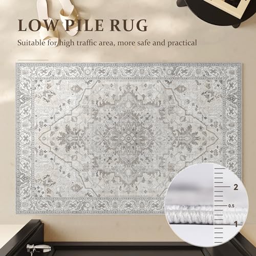 2x3 Small Entryway Doormat 2x3 Front Door Rug Indoor Entrance Kitchen Bathroom Carpet Farmhouse Non Slip Washable Low Pile Floor Carpet, Beige/Multi
