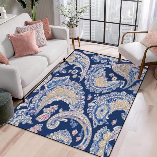 Area Rug Colorful Paisley Indonesian Batik Bright Classic Indian Fabric Paisley Washable 4x6 feet Rugs for Bedroom Kitchen Living Room Non Slip Outdoor Carpets Soft Mats for Home Playroom Decor