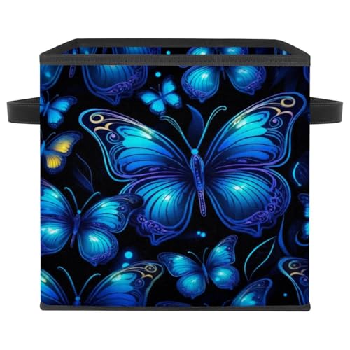 Boîte de rangement papillon bleu contre le désordre des armoires