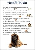 Merchandise for Fans Blechschild/Warnschild/Türschild - Aluminium - 20x30cm - - Hunderegeln - Motiv: Hund Leonberger - 01