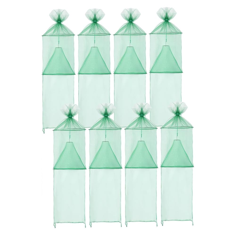 Trampas para moscas linterna ninfas y control de plagas en árboles con clavos