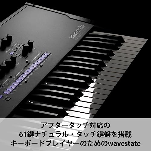 KORG(コルグ) wavestate SE の商品画像 2