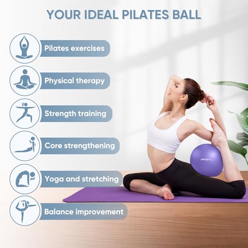 image for APEXUP Yoga Ball Exercise Ball, Heavy Duty Pilates Ball for Fitness, B