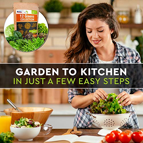 12 Lettuce And Greens Seed Pack - Heirloom And Non Gmo, Grown In Usa - Indoor Or Outdoor Garden - Iceberg, Arugula, Kale, Spinach, Bibb, Butter, Green Oakleaf, Giant Collard, Red Romaine & More #TOP3