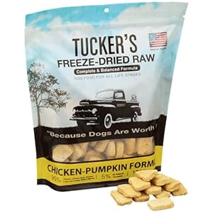Tuckers uncooked frozen freeze dried uncooked canine meals hen  pumpkin components 14oz   cucciolini doodles