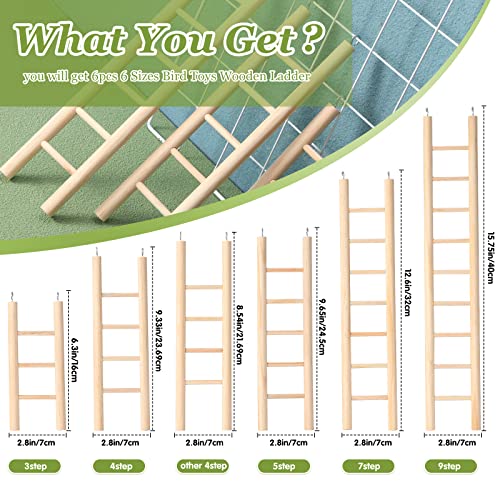 Kigeli KIGELI-5666 6 Pcs Step Ladder For Bird thumb #1