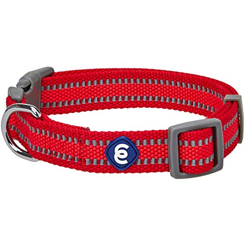 Blueberry Pet Essentials Reflective Back to Basics Adjustable Dog Collar, Rouge Red, Small, Neck 12