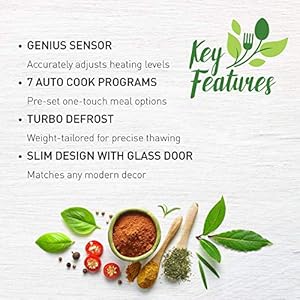 Genius countertop microwave oven nnsg676b black 1100w 13 cu ft  urban country home decor