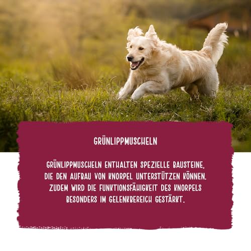 Chicopee Classic Nature Line | Maxi Puppy | Hundefutter trocken | Mit Geflügel & Hirse | Weizenfrei | Bedarfsgerechtes Life-Cycle-Konzept | Inspiriert von der Natur Kanadas | 15 kg