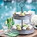 2 Tier Serving Stand