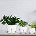 Plant Pot, OAMCEG Round Modern Flower Pot Small to Medium Sized(4inch/5.5inch/6inch), Ceramic Garden Plant Containers Succulent Pots with Drainage Hole, White Wheat Pattern 3 Pack(Plants NOT Included)