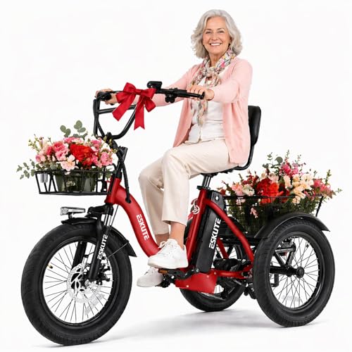 T300 Adult Electric Trike Bike 1200W High-Power Motor & 624Wh
