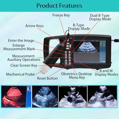 Scanner digitale ad ultrasuoni - Macchina portatile a ultrasuoni B con sonda da 3,5 MHz per rilevamento gravidanza bestiame
