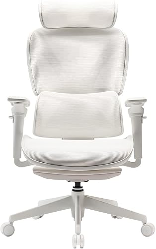 COFO Chair Pro
