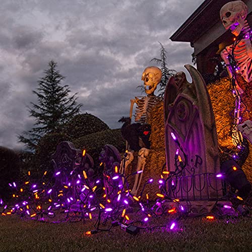 Wintergreen Lighting Halloween Icicle Lights, 70 Purple And Orange Mini Led Lights On Black Wire, 7 Ft Fun House Halloween Decorations Party Lights (70 Icicle Lights) #TOP3