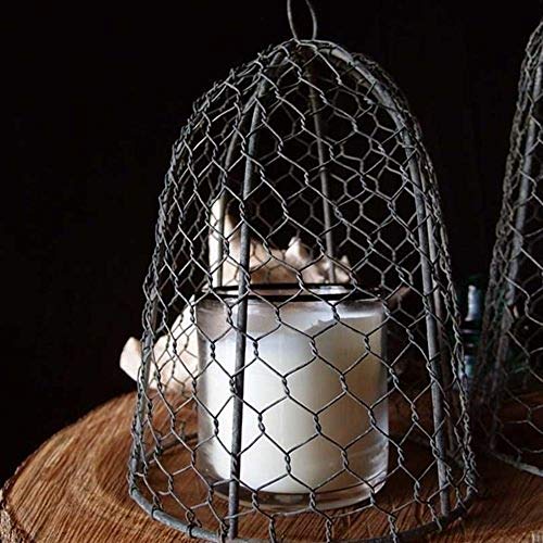 Colonial Tin Works Chicken Wire Cloche, 10 inches tall, Vintage, Rustic Barn Roof Finish, Silver
