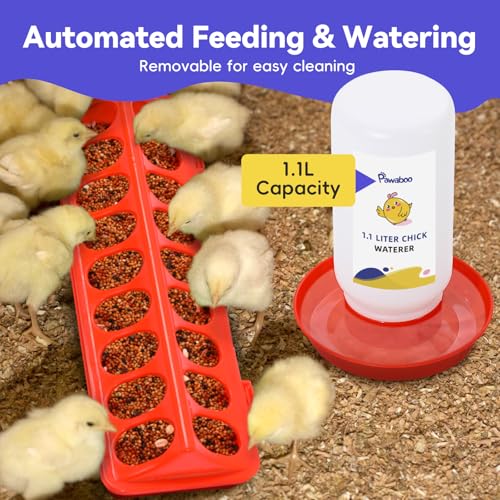 Image of Pawaboo Chick Brooder Box for Chick Starter Kit, Gray