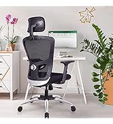 Green Soul Jupiter Superb Office Chair, High Back Mesh Ergonomic Home Office Desk Chair with 2D ...