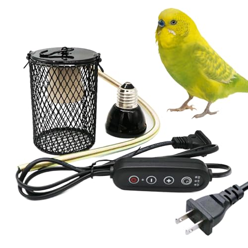 Cache-lampe pour terrarium anti-brûlure et support de lampe pour oiseaux