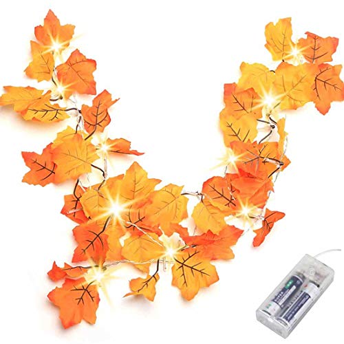 Thanksgiving Decorations Lighted Fall Garland, Thanksgiving Decor Halloween String Lights 8.2 Feet 20 LED, Thanksgiving Gift Fall Decor for Home Holiday Autumn Garland Indoor