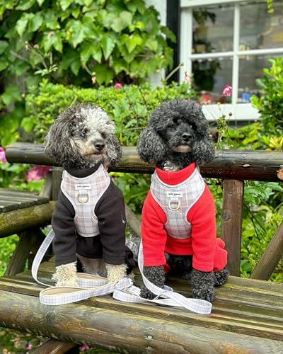 Warmes vierbeiniges Hunde-Fleece, superweich, witterungsbeständig (Schwarz, Medium)