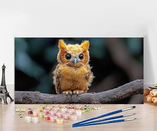 yCgoCio[ tNE io[yCg  lp SҌ h hG Paint By Numbers nhChNtgA[g DIY G Zbg ܂ CeA AN ʊG̋ Ƃ̕ǂ̑ ւ̑蕨 t[