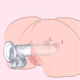 Los Productos de Ocio Transparentes Blancos, Impermeables con ventosas, se Pueden Doblar libremente sin deformarse.(Color:18cm)
