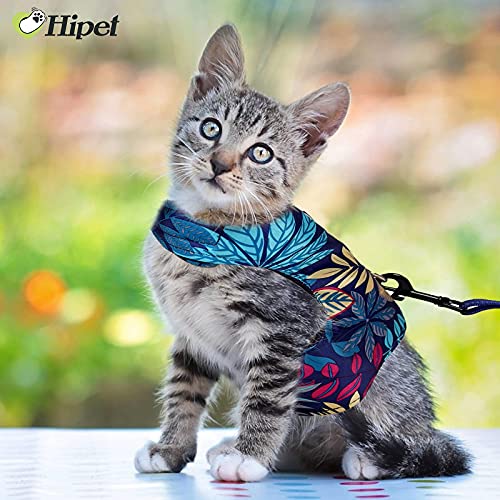 Cat Harness And Leash For Walking Escape Proof Air Mesh Fabric Outdoor Walking Vest With Reflective Strips For Cute Cats And Small Dogs (M, Blue) #TOP6