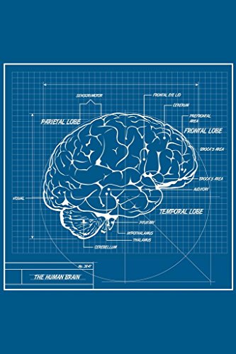 Laminated Human Brain Anatomy Blueprint Illustration Drawing Poster Dry Erase Wall Art 16x24