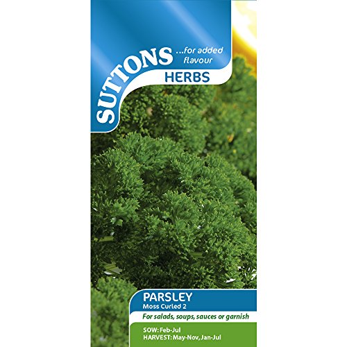 Suttons Seeds Moss Curled 2 Herb Parsley Seeds