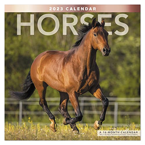 2023 Horses Monthly Wall Calendar, 16 Months, 12" X 12" (Lme1591023) #TOP18