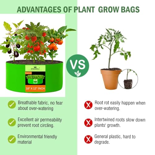 Image of Kingwell Grow Bag For Terrace Garden Leafy Vegetable Plant Grow Bags Fruits Growing Containers For terrece Gardening (18 X 12 INCH, PACK OF 6)