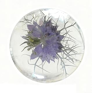 Jabón limpiador de aminoácidos con pH equilib...